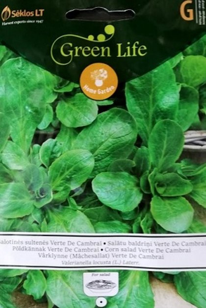 Salātu baldriņš Verte de Cambrai (Lauka salāti) 1 g Sėklos LT
