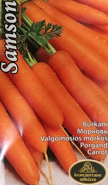 Burkāni Nantes 5-Samson 1 g Kurzemes Sēklas