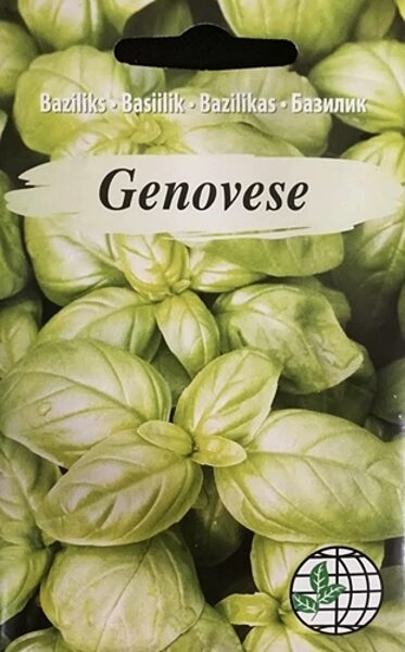 Baziliks Genovese 3 g Agrimatco