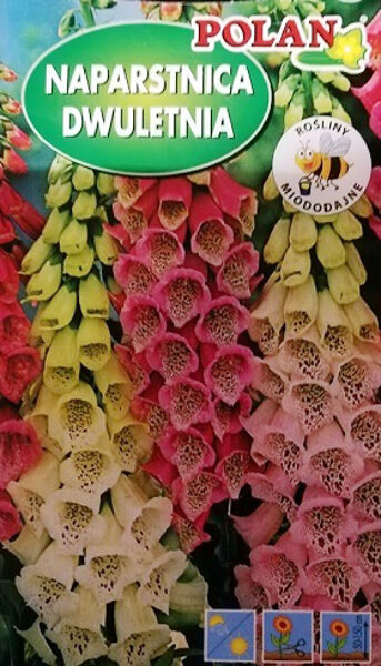 Purpursarkanā uzpirkstīte  Naparstnica Dwuletnia 1 g Polan