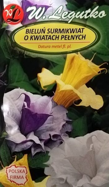 Eņģeļtaure (Metela velnābols) Surmikwiat (datura) 0.2 g W.Legutko