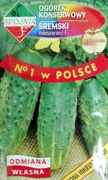 Gurķi Šremski F1 2 g SPOJNIA A.P. (25)