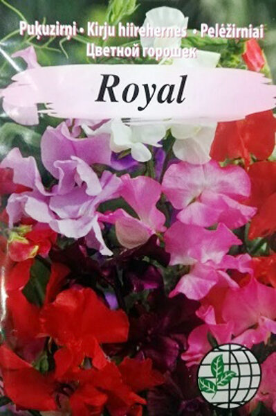 Puķuzirņi smaržīgie Royal MIX 2 g Agrimatco