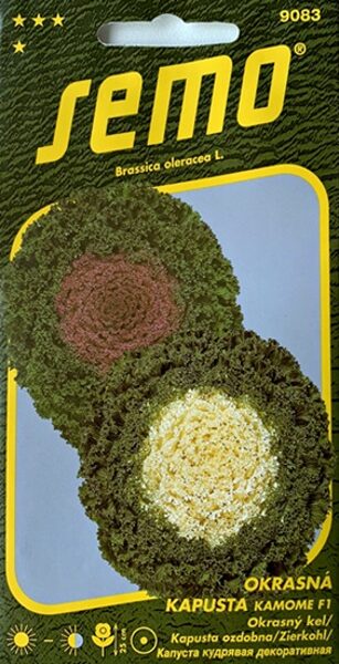 Dekoratīvais kāposts Kamome F1 MIX 20 gab Semo   A.P.