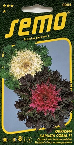 Dekoratīvais kāposts Coral F1 MIX 20 gab Semo A.P.