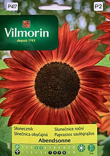 Saulespuķes dekoratīvās Abendsonne 500 mg Vilmorin