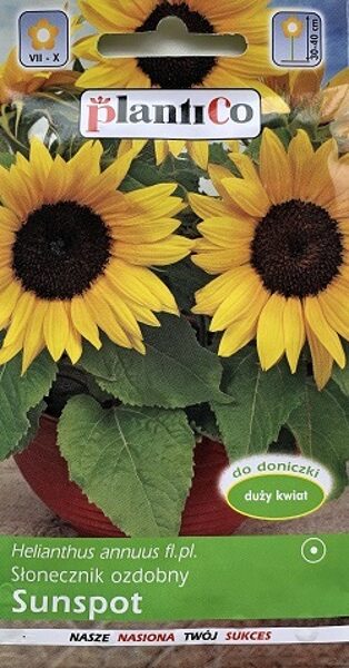 Saulespuķes zemās SUNSPOT 2 g PlantiCo