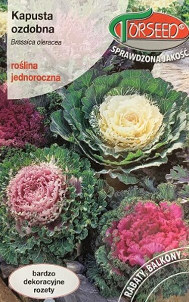Dekoratīvais kāposts MIX 500 mg Torseed