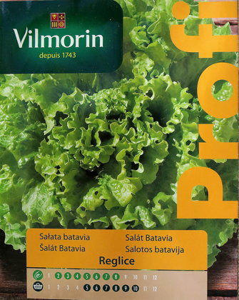Salāti lapu REGLICE 500 mg  Vilmorin