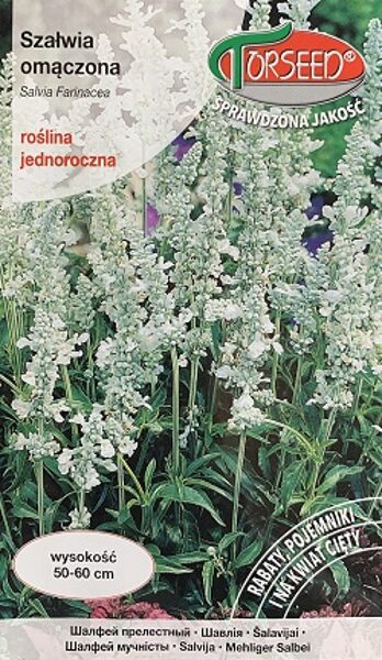 Miltainā salvija White Victory 0.5 g  Torseed
