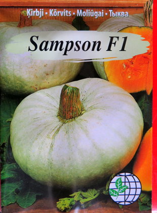 Ķirbji SAMPSON F1 5 gab Agrimatco