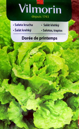 Salāti ledus DOREE DE PRINTEMPS 1 g Vilmorin