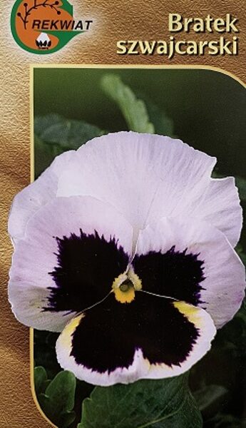 Atraitnītes lielziedu baltas/tumši violetas 0.5 g Rekwiat   A.P.