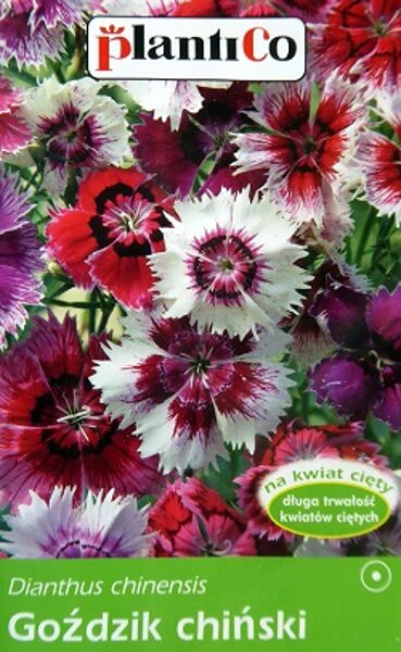 Ķīnas neļķes MIX 1 g PlantiCo