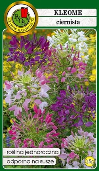 Ērkšķainā kleome MIX 0.5 g PNOS