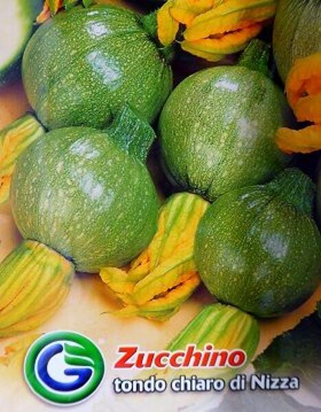 Kabacis tondo chiaro di NIZZA 6 g Galassi sementi