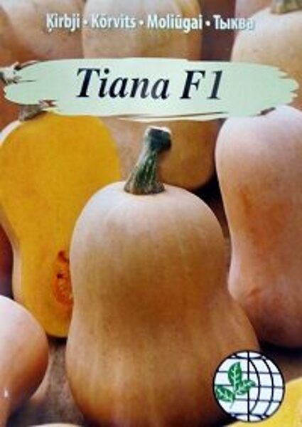 Ķirbji sviesta TIANA F1 5 gab Agrimatco