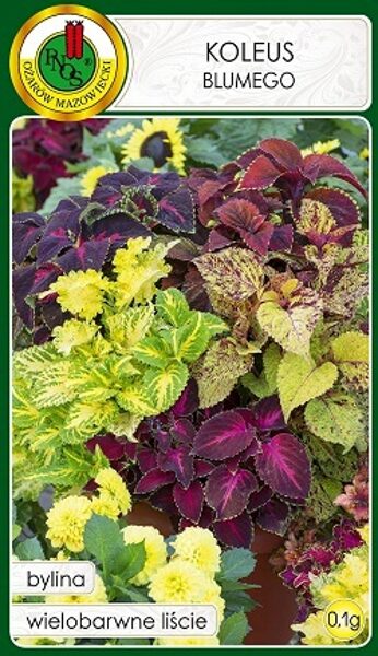 Koleus (Skaistnātrīte) Blumego MIX  0.1 g PNOS