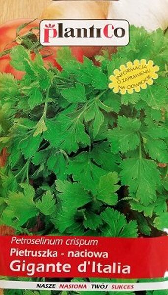 Lapu pētersīļi GIGANTE D’ITALIA  5 g PlantiCo    A.P.