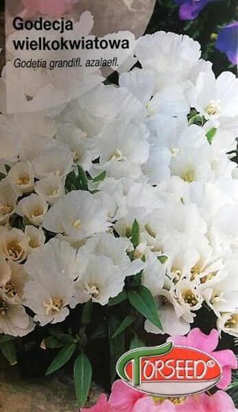 Lielziedu godēcija balta 1 g Torseed