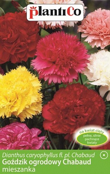 Dārza neļķe CHABAUD MIX 0.5 g PlantiCo