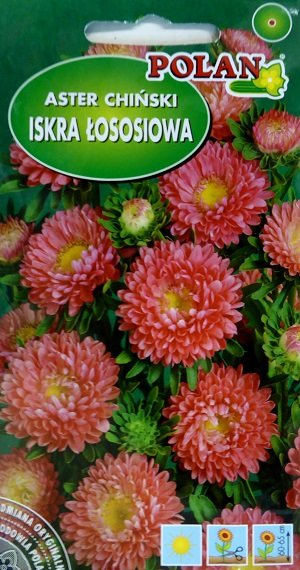 Asteres ISKRA ŁOSOSIOWA 1 g Polan