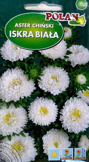 Asteres ISKRA BIAŁY 1 g Polan