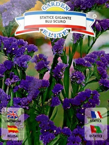 Jomainā limonija Statice gigante Blue scuro 0.3 g Galassi sementi