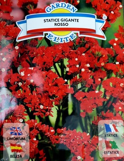 Jomainā limonija Statice gigante Rosso 0.3 g Galassi sementi