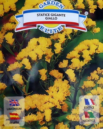 Jomainā limonija Statice gigante Giallo 0.3 g Galassi sementi