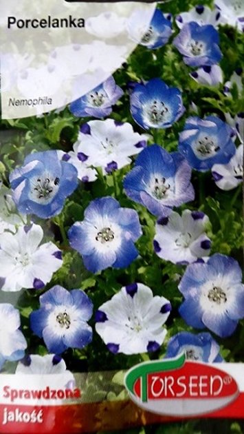 Nemofīlija  1 g Torseed