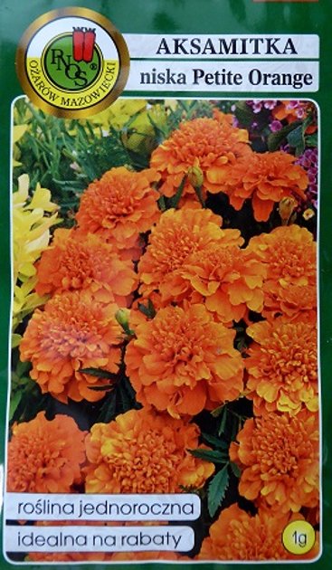 Samtenes zemās TANGERINE 1 g PNOS