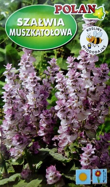 Salvija muskata 500 mg Polan