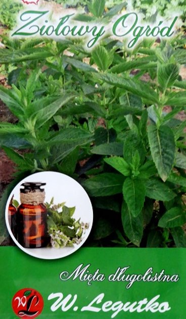 Piparmētra garenlapu 0.1 g W.Legutko