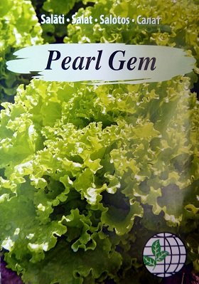 Salāti (Batāvijas tipa) Pearl Gem 0.5 g Agrimatco