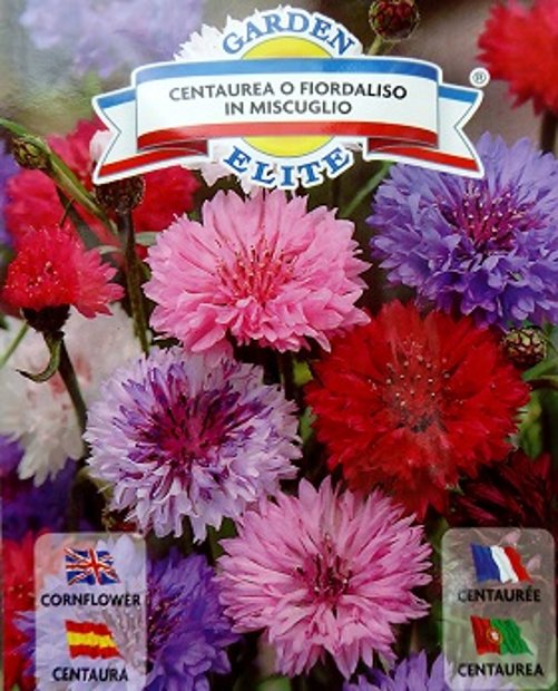 Rudzupuķes FIORDALISO MIX 1 g Galassi Sementi