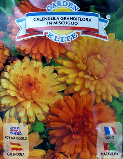 Ārstniecības kliņģerīte GRANDIFLORA MIX 2 g Galassi Sementi