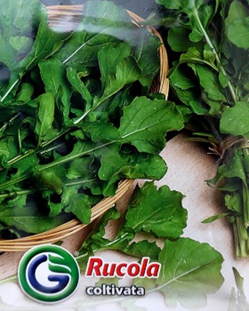 Rukola platlapu (Salātu rukola) 12 g Galassi Sementi
