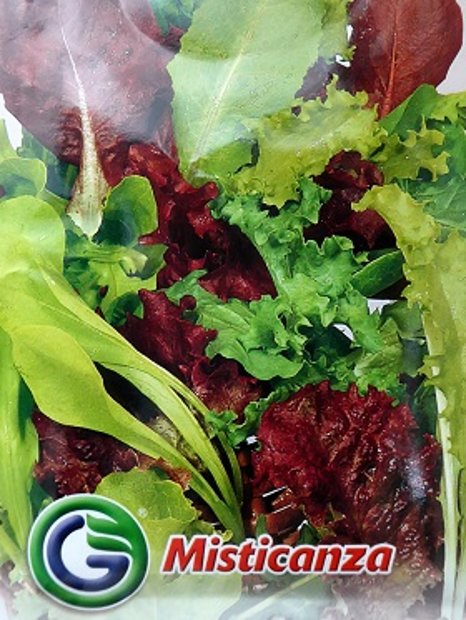 Salātu maisījums MISTICANZA 12 g Galassi Sementi