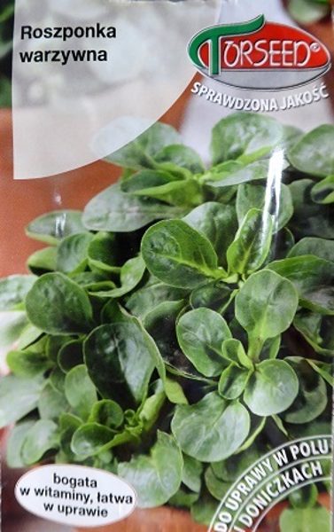 Salātu baldriņš (lauka salāti) Verte de Cambrai 2 g Torseed