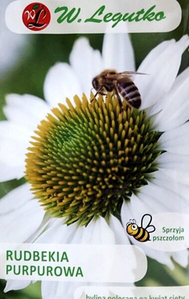 Purpursarkanā ehinācija balta 0.5 g W.Legutko