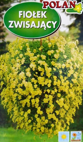 Viljamsa vijolīte nokarenā dzeltena 300 mg Polan