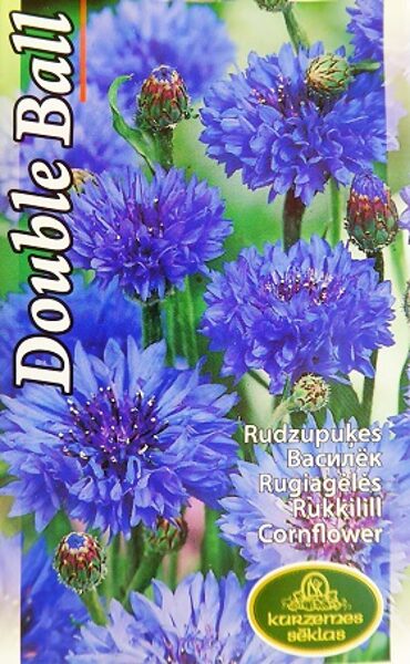 Rudzupuķes zilas Double Ball 1 g Kurzemes sēklas