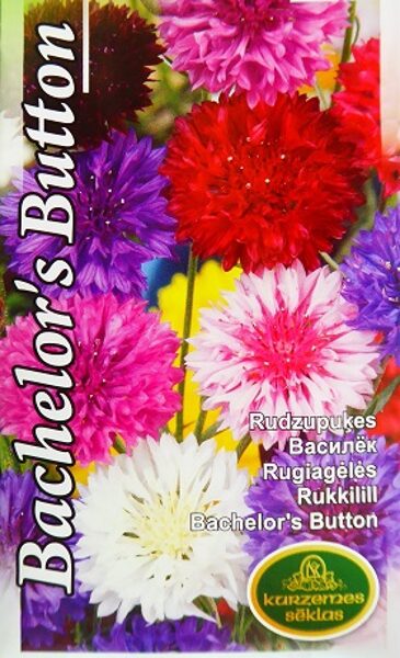 Rudzupuķes Bachelor's Button MIX 2 g Kurzemes sēklas