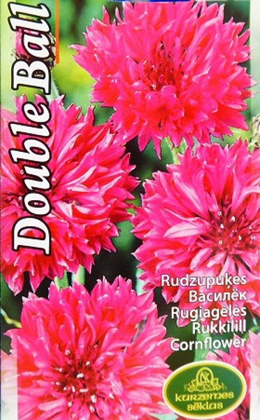 Rudzupuķes rozā Double Ball 1 g Kurzemes sēklas A.P.