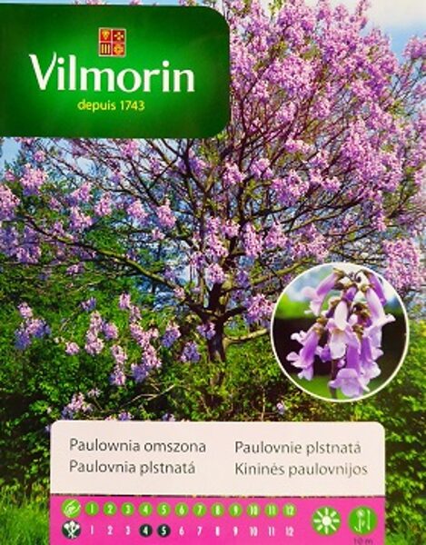 Pavlovnija (Princešu vai Ādama koks) 100 mg Vilmorin