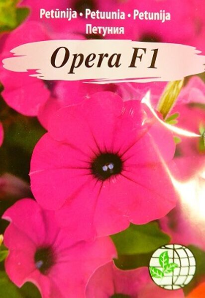 Petūnija Opera F1  purpura nokarenā 5 gran Agrimatco