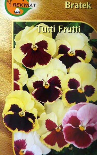 Atraitnītes TUTTI FRUTI 0.3 g Rekwiat   A.P.