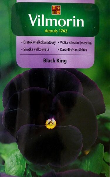 Atraitnītes Black King 300 mg Vilmorin   A.P.