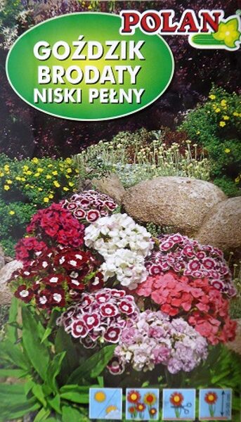 Studentu neļķes pildītās zemās MIX 500 mg Polan